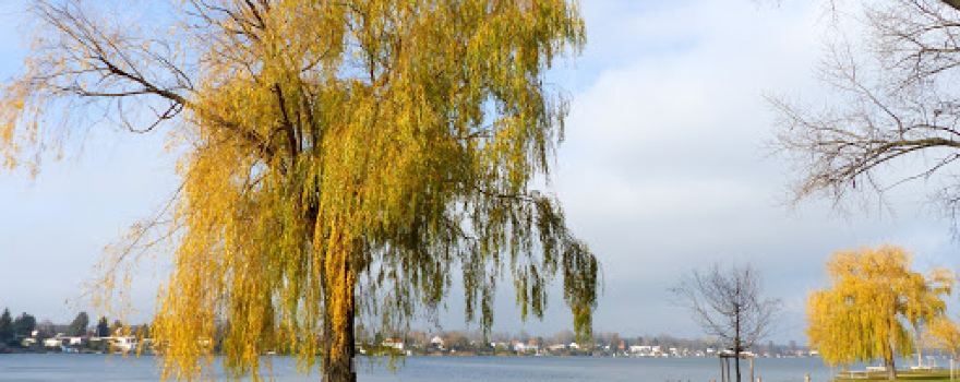 Strandbad Neufelder See