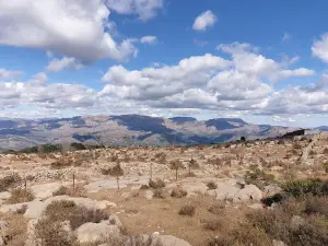 Samana