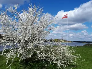 Atpūtas vieta Daugmales
