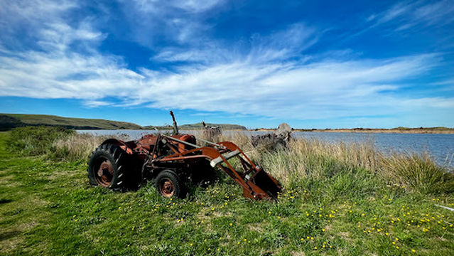 Freedom Camping Site