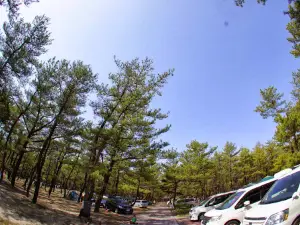 Kuninomatsubara Camping Ground