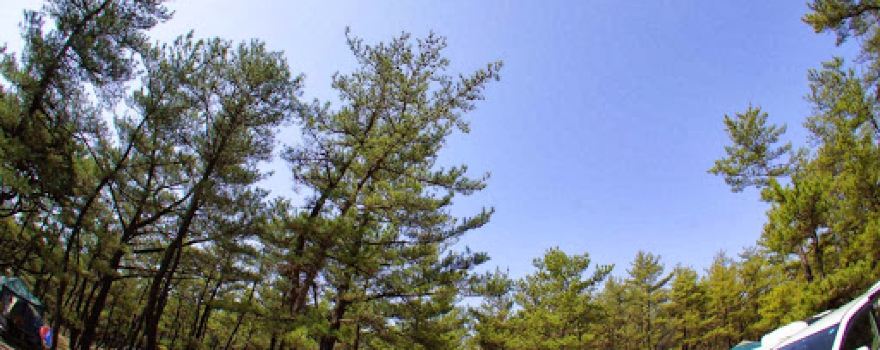 Kuninomatsubara Camping Ground