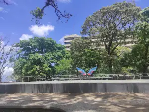 Plaza De Los Mangos (Maria del Carmen Ramirez)