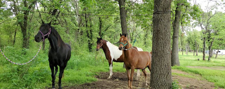 Sandy Oaks