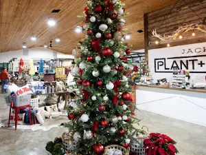 Jack's Plant and Patio
