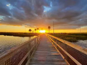 Ecopassage Observation Boardwalk