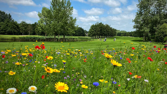 Haarlemmermeersche Golfclub