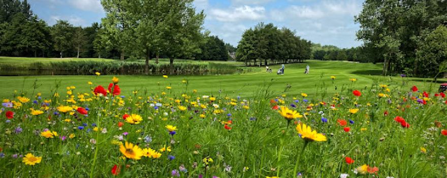 Haarlemmermeersche Golfclub
