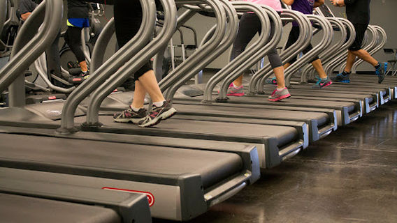24e Health Clubs