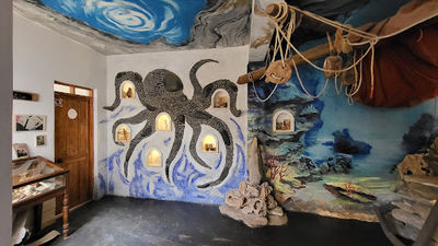 Museu Dos Naufragos