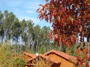 Camping Oleiros