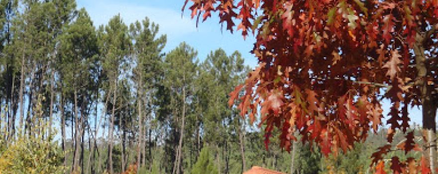 Camping Oleiros