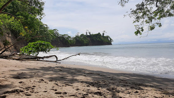 Punta Leona