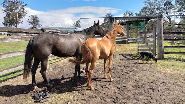 Blackbutt Showgrounds