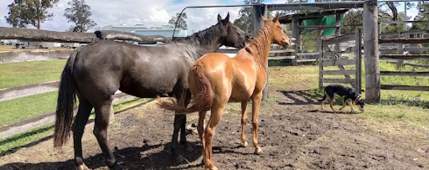 Blackbutt Showgrounds
