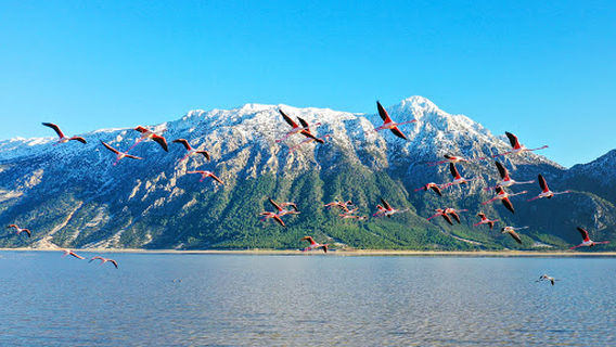 Gemiş Mahallesi