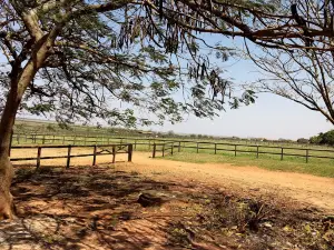 Fazenda Guanabara