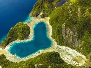 Acrophora Resorts