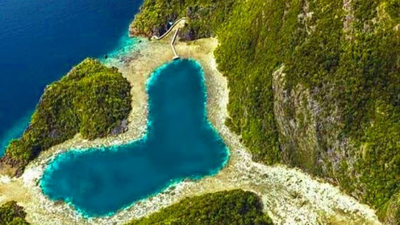 Acrophora Resorts