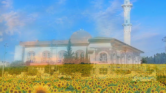 Judi Mosque مزگەفتا جودی