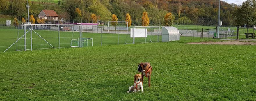 Verein Hundespielplatz Eiken