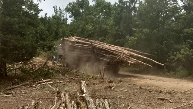 Brushy Creek Campground