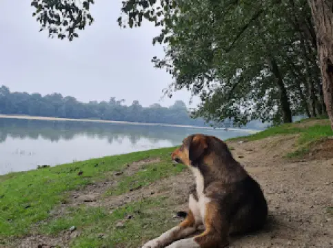 Joorband Lake
