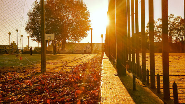 Parroquia San Pedro - Salesianos