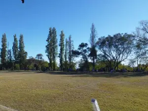 Club Belgrano de Rincón