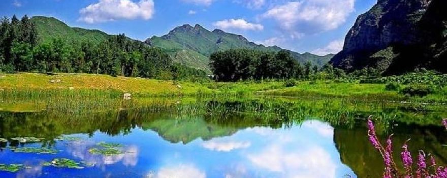 Yangbishan Forest Ecological Tourism Area