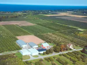 Kappus Farms, Inc.