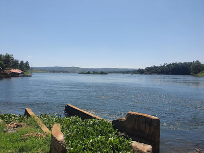 Source Of The Nile Reptile Park