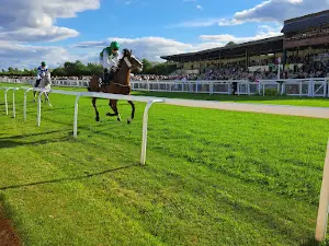 Ripon Races