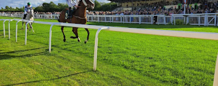 Ripon Race Company Ltd