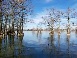 Old Town Lake