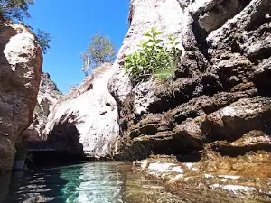 Manantiales "El aguacate"