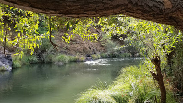 Thousand Trails Russian River