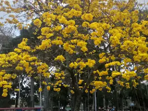 Plaza Jose A. Sucre