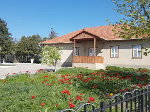 Casa Memorială Alexei Mateevici