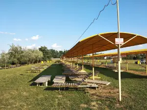 Didove