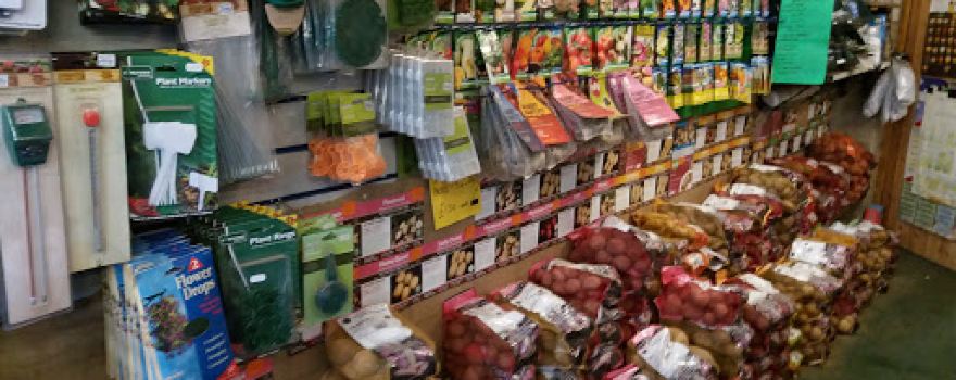 Mousehold Garden Centre
