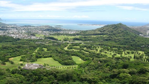 Nuʻuanu Pali Lookout