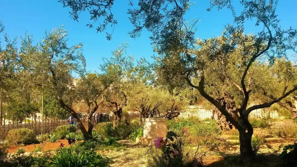 3_Gethsemane