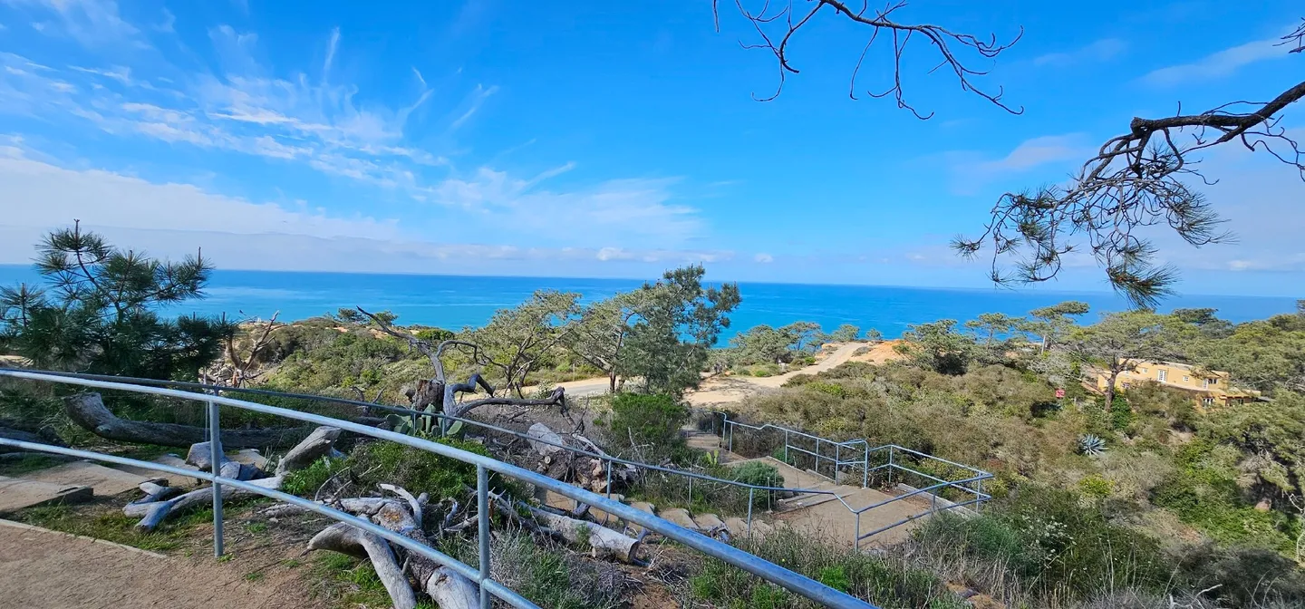 3_Torrey Pines State Natural Reserve