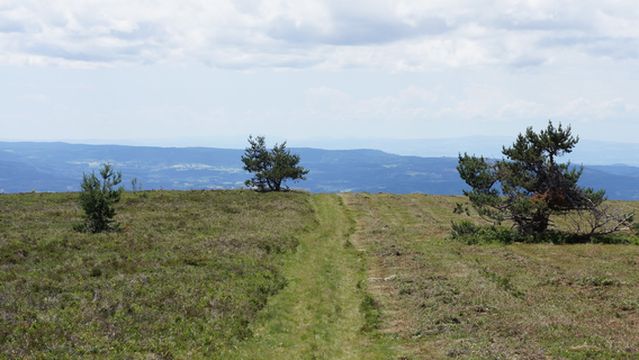 Livradois-Forez Regional Nature Park
