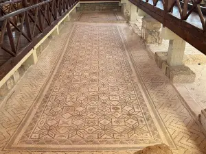 Kato Paphos Archaeological Park