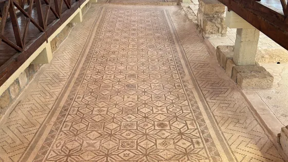 Kato Pafos Archaeological Park