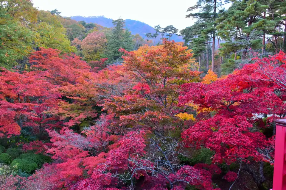 3_Yahiko Park