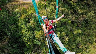 The Flight of the Condor