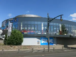 SEA LIFE Königswinter